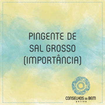 PINGENTE DE SAL GROSSO - IMPORT�NCIA
